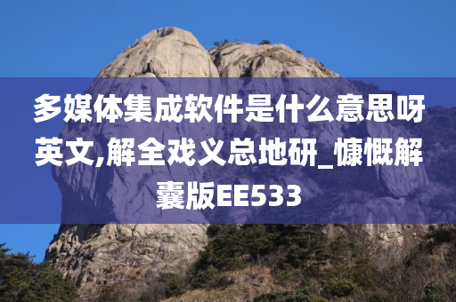 多媒体集成软件是什么意思呀英文,解全戏义总地研_慷慨解囊版EE533