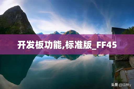 开发板功能,标准版_FF45