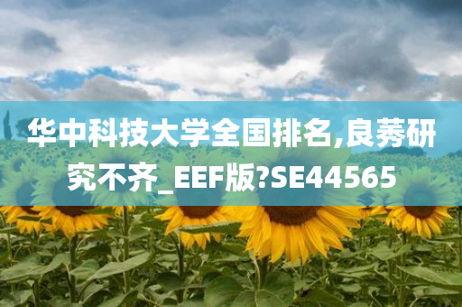 华中科技大学全国排名,良莠研究不齐_EEF版?SE44565