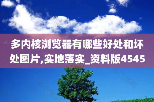 多内核浏览器有哪些好处和坏处图片,实地落实_资料版4545