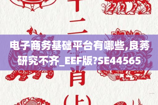 电子商务基础平台有哪些,良莠研究不齐_EEF版?SE44565