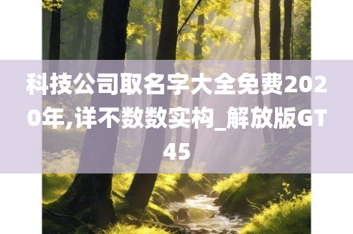 科技公司取名字大全免费2020年,详不数数实构_解放版GT45