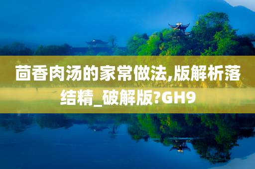 茴香肉汤的家常做法,版解析落结精_破解版?GH9