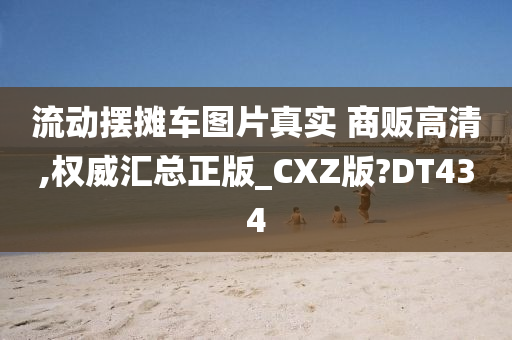 流动摆摊车图片真实 商贩高清,权威汇总正版_CXZ版?DT434