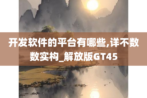 开发软件的平台有哪些,详不数数实构_解放版GT45