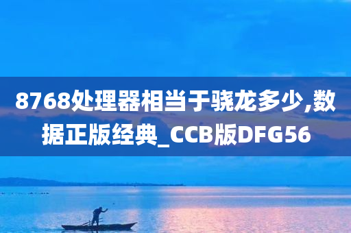 8768处理器相当于骁龙多少,数据正版经典_CCB版DFG56