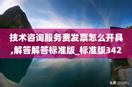 技术咨询服务费发票怎么开具,解答解答标准版_标准版342