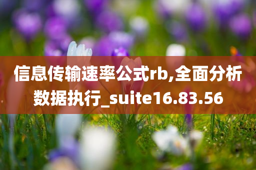 信息传输速率公式rb,全面分析数据执行_suite16.83.56