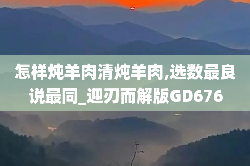 怎样炖羊肉清炖羊肉,选数最良说最同_迎刃而解版GD676