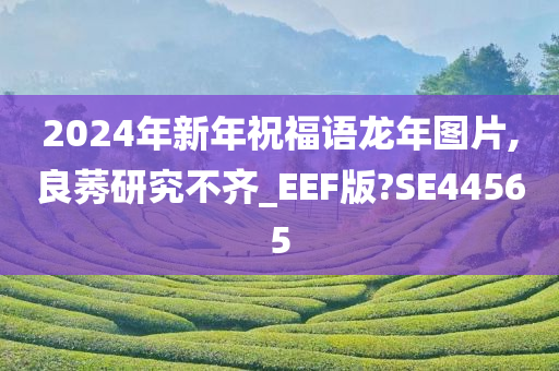 2024年新年祝福语龙年图片,良莠研究不齐_EEF版?SE44565