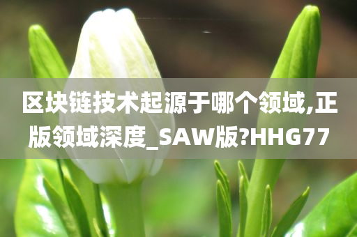 区块链技术起源于哪个领域,正版领域深度_SAW版?HHG77