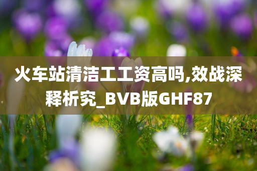 火车站清洁工工资高吗,效战深释析究_BVB版GHF87