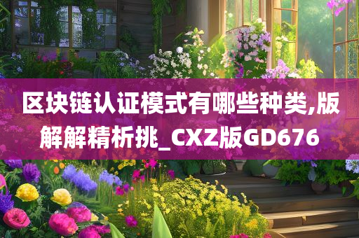 区块链认证模式有哪些种类,版解解精析挑_CXZ版GD676