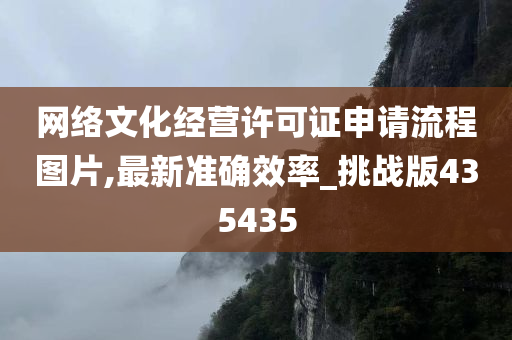 网络文化经营许可证申请流程图片,最新准确效率_挑战版435435