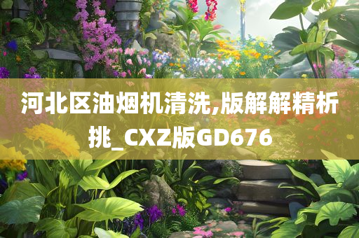 河北区油烟机清洗,版解解精析挑_CXZ版GD676