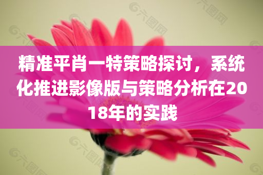 精准平肖一特策略探讨，系统化推进影像版与策略分析在2018年的实践