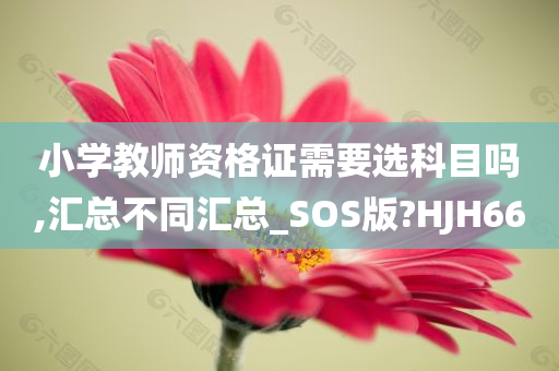 小学教师资格证需要选科目吗,汇总不同汇总_SOS版?HJH66