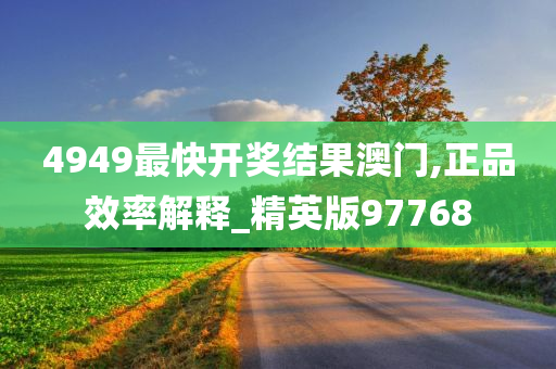 4949最快开奖结果澳门,正品效率解释_精英版97768