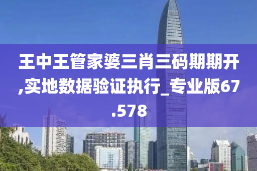 王中王管家婆三肖三码期期开,实地数据验证执行_专业版67.578