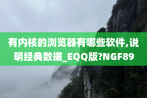 有内核的浏览器有哪些软件,说明经典数据_EQQ版?NGF89