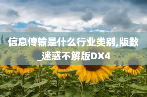 信息传输是什么行业类别,版数_迷惑不解版DX4