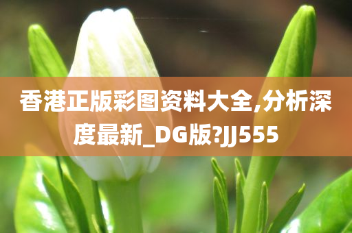 香港正版彩图资料大全,分析深度最新_DG版?JJ555