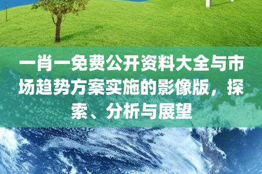 一肖一免费公开资料大全与市场趋势方案实施的影像版，探索、分析与展望