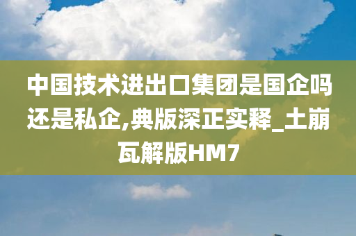 中国技术进出口集团是国企吗还是私企,典版深正实释_土崩瓦解版HM7