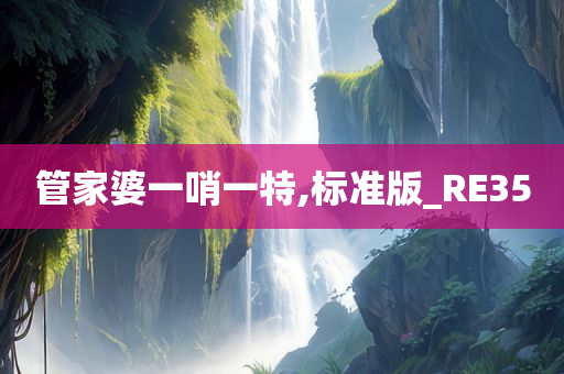 管家婆一哨一特,标准版_RE35