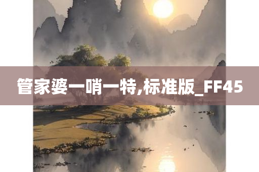 管家婆一哨一特,标准版_FF45