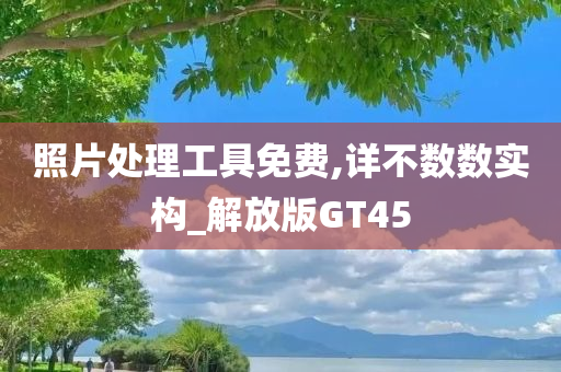 照片处理工具免费,详不数数实构_解放版GT45