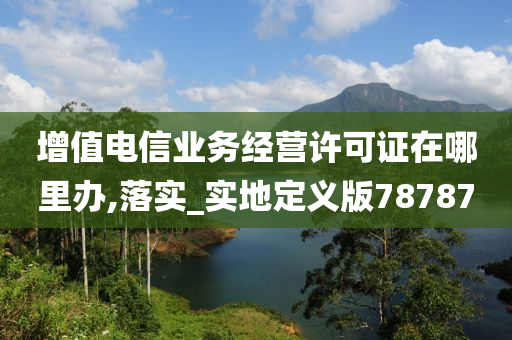 增值电信业务经营许可证在哪里办,落实_实地定义版78787