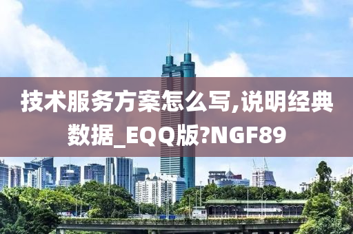 技术服务方案怎么写,说明经典数据_EQQ版?NGF89