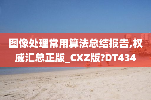 图像处理常用算法总结报告,权威汇总正版_CXZ版?DT434