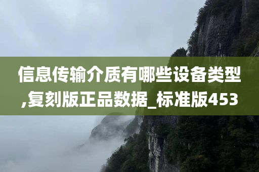 信息传输介质有哪些设备类型,复刻版正品数据_标准版453