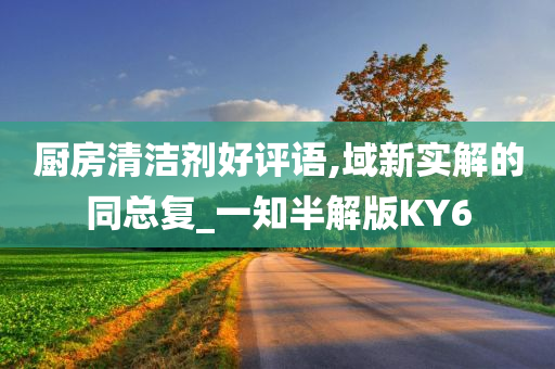 厨房清洁剂好评语,域新实解的同总复_一知半解版KY6