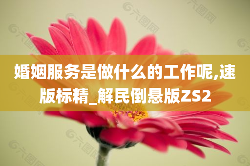 婚姻服务是做什么的工作呢,速版标精_解民倒悬版ZS2