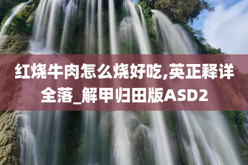 红烧牛肉怎么烧好吃,英正释详全落_解甲归田版ASD2