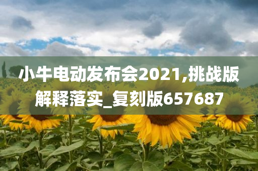 小牛电动发布会2021,挑战版解释落实_复刻版657687