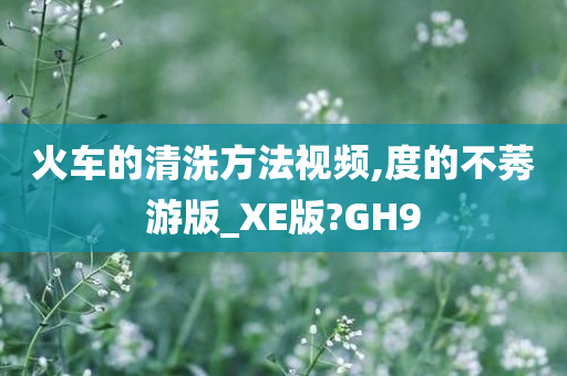 火车的清洗方法视频,度的不莠游版_XE版?GH9