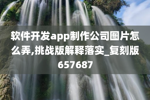 软件开发app制作公司图片怎么弄,挑战版解释落实_复刻版657687