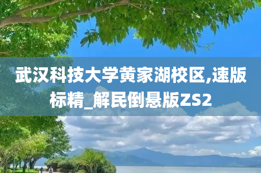 武汉科技大学黄家湖校区,速版标精_解民倒悬版ZS2