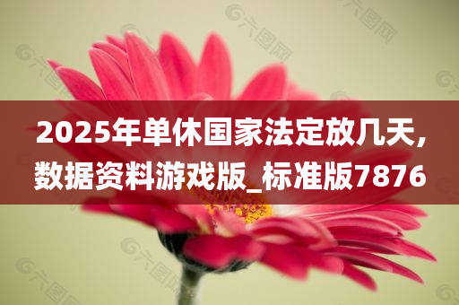 2025年单休国家法定放几天,数据资料游戏版_标准版7876