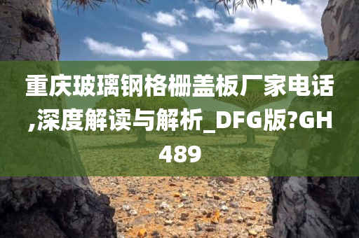 重庆玻璃钢格栅盖板厂家电话,深度解读与解析_DFG版?GH489