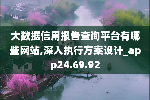 大数据信用报告查询平台有哪些网站,深入执行方案设计_app24.69.92