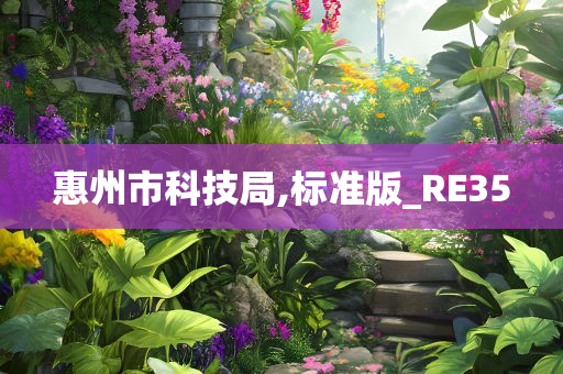 惠州市科技局,标准版_RE35