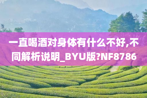 一直喝酒对身体有什么不好,不同解析说明_BYU版?NF8786