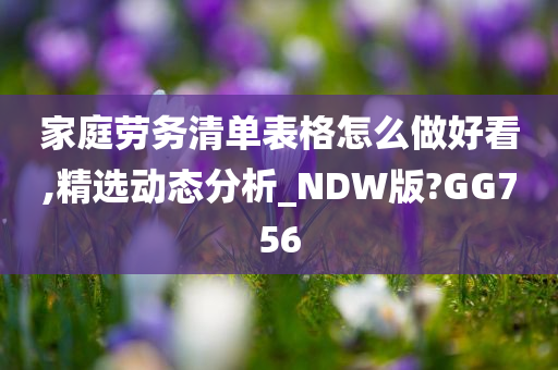 家庭劳务清单表格怎么做好看,精选动态分析_NDW版?GG756