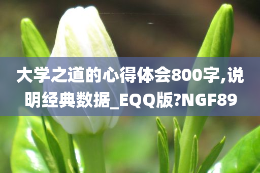 大学之道的心得体会800字,说明经典数据_EQQ版?NGF89