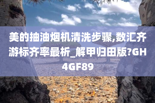 美的抽油烟机清洗步骤,数汇齐游标齐率最析_解甲归田版?GH4GF89